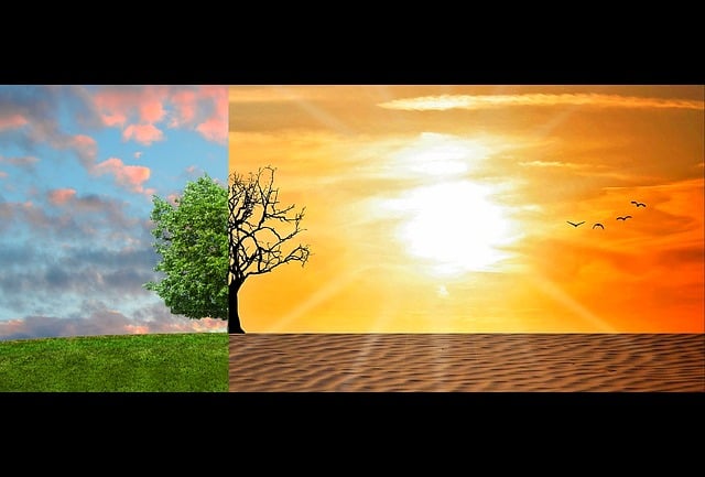 réchauffement climatique