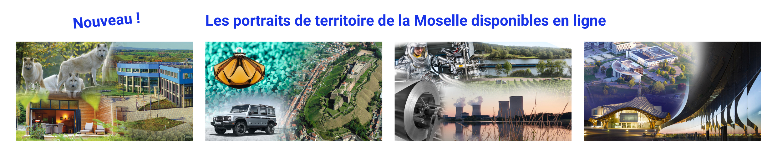 4 portraits de territoire