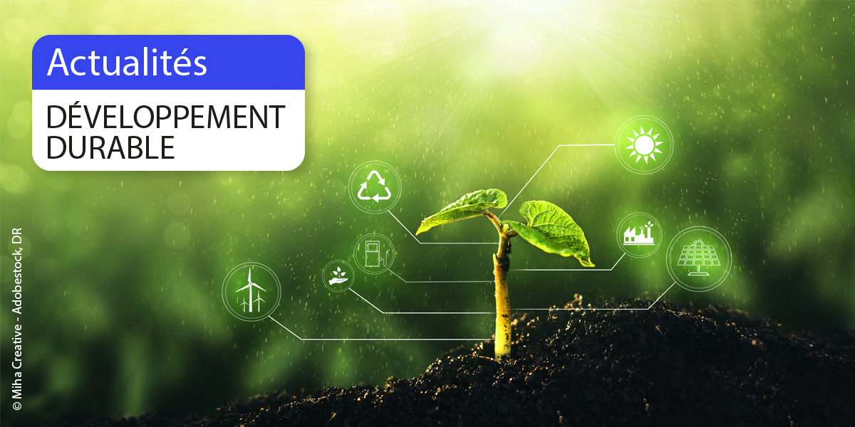 développement durable