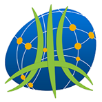 logo cerm
