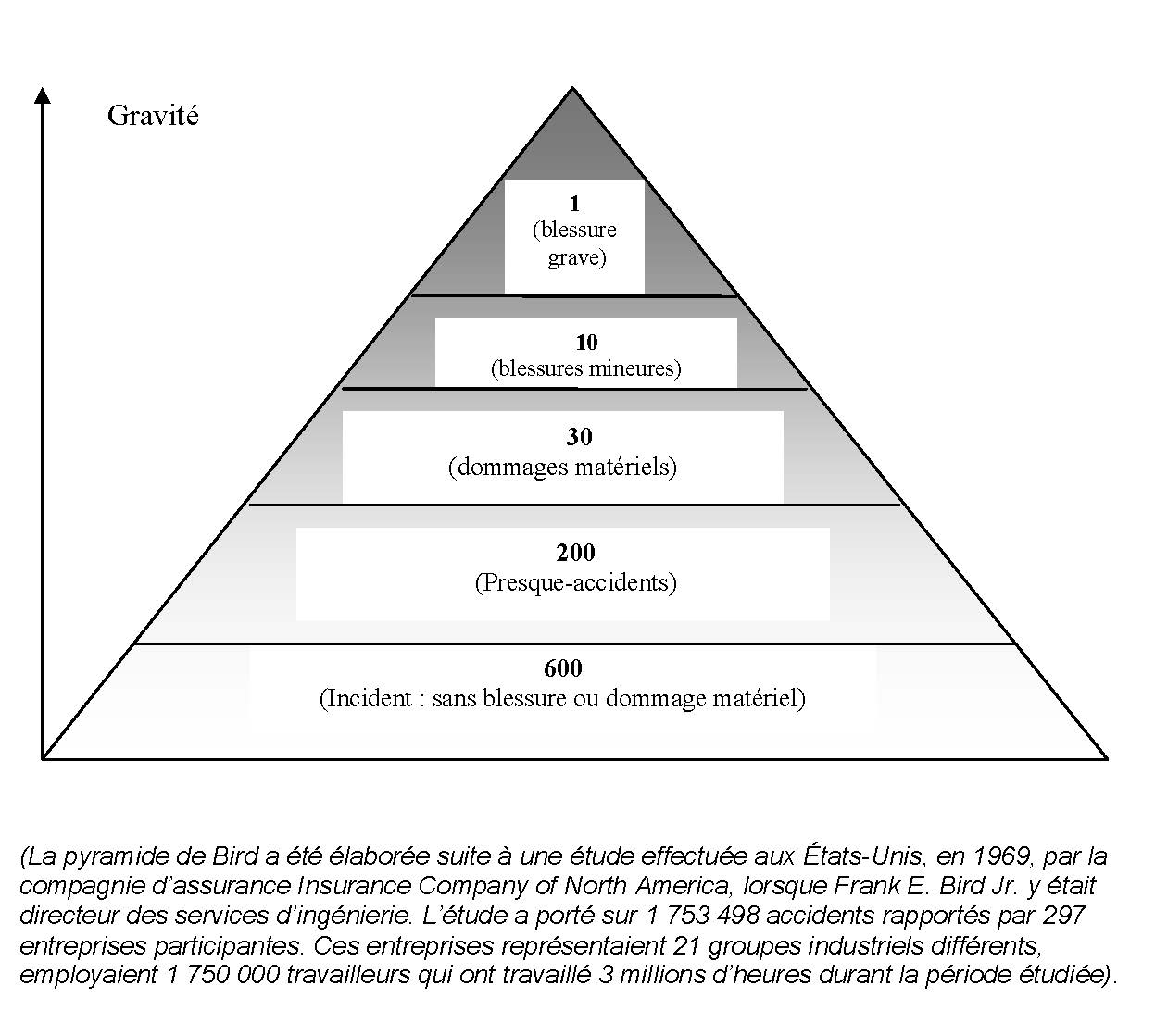 pyramide_de_bird