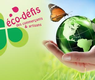 diaporama ecodefis2020