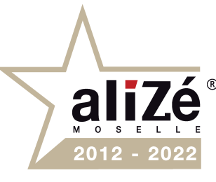 logo Alizé Moselle - 10 ans