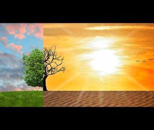 réchauffement climatique