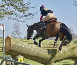 course d'obstacles