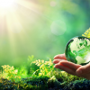 Diagnostic environnement
