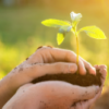 Eco-Défis
