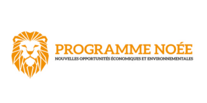 noee lion jaune programme